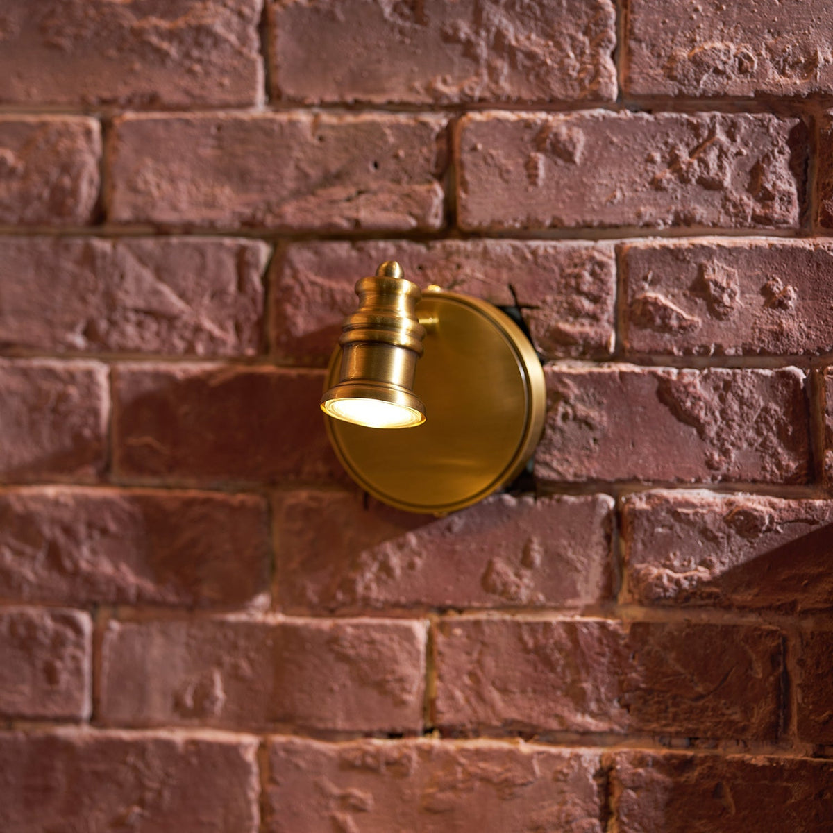 Iaila Brass Indoor Wall Light