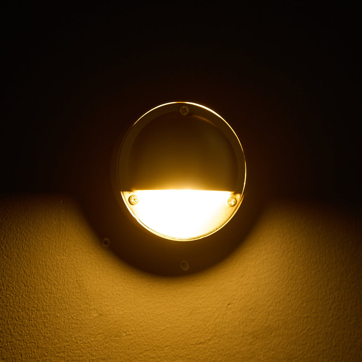 Goxia Brass Indoor Wall Light