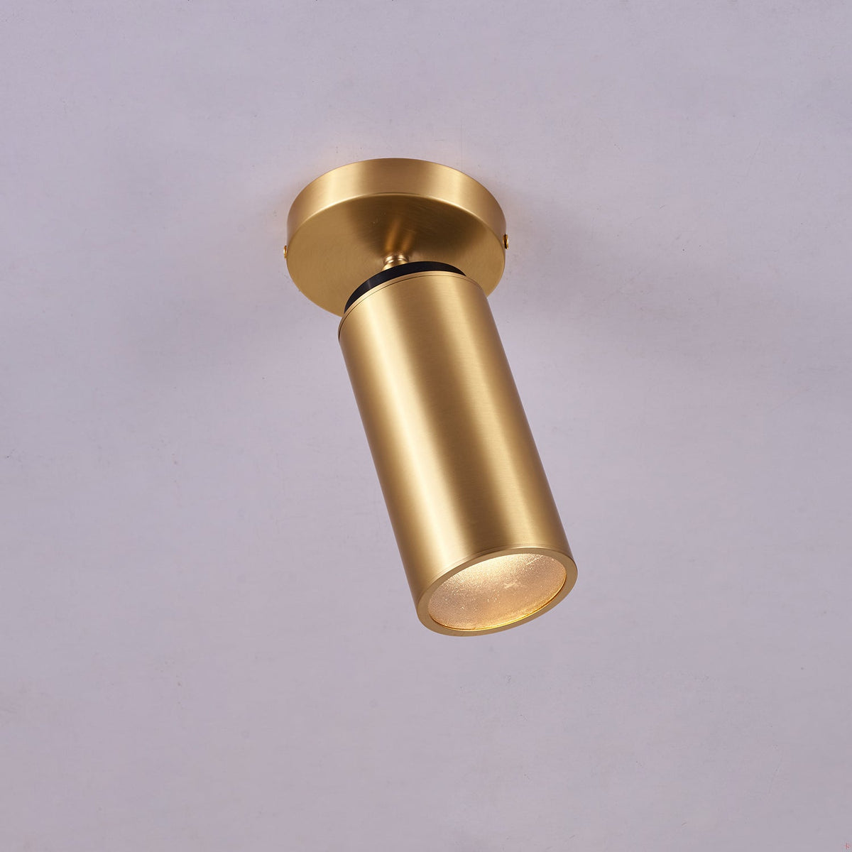Syloran Modern Minimalist Brass Spot Light Ceiling lamp