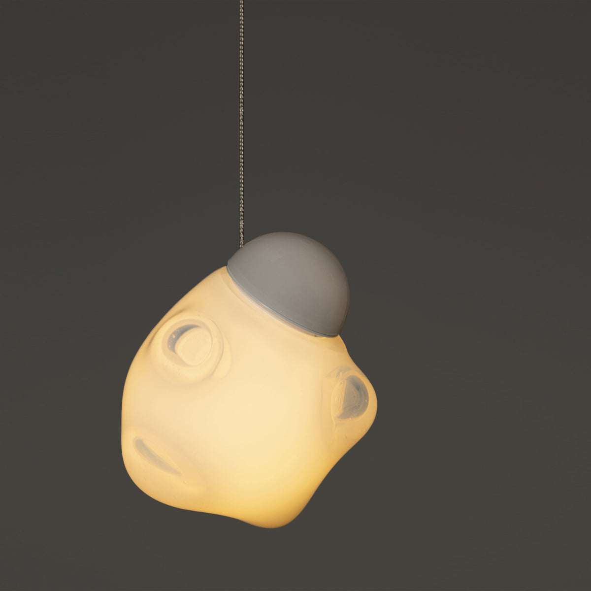 Fleurour Pendant Lamp