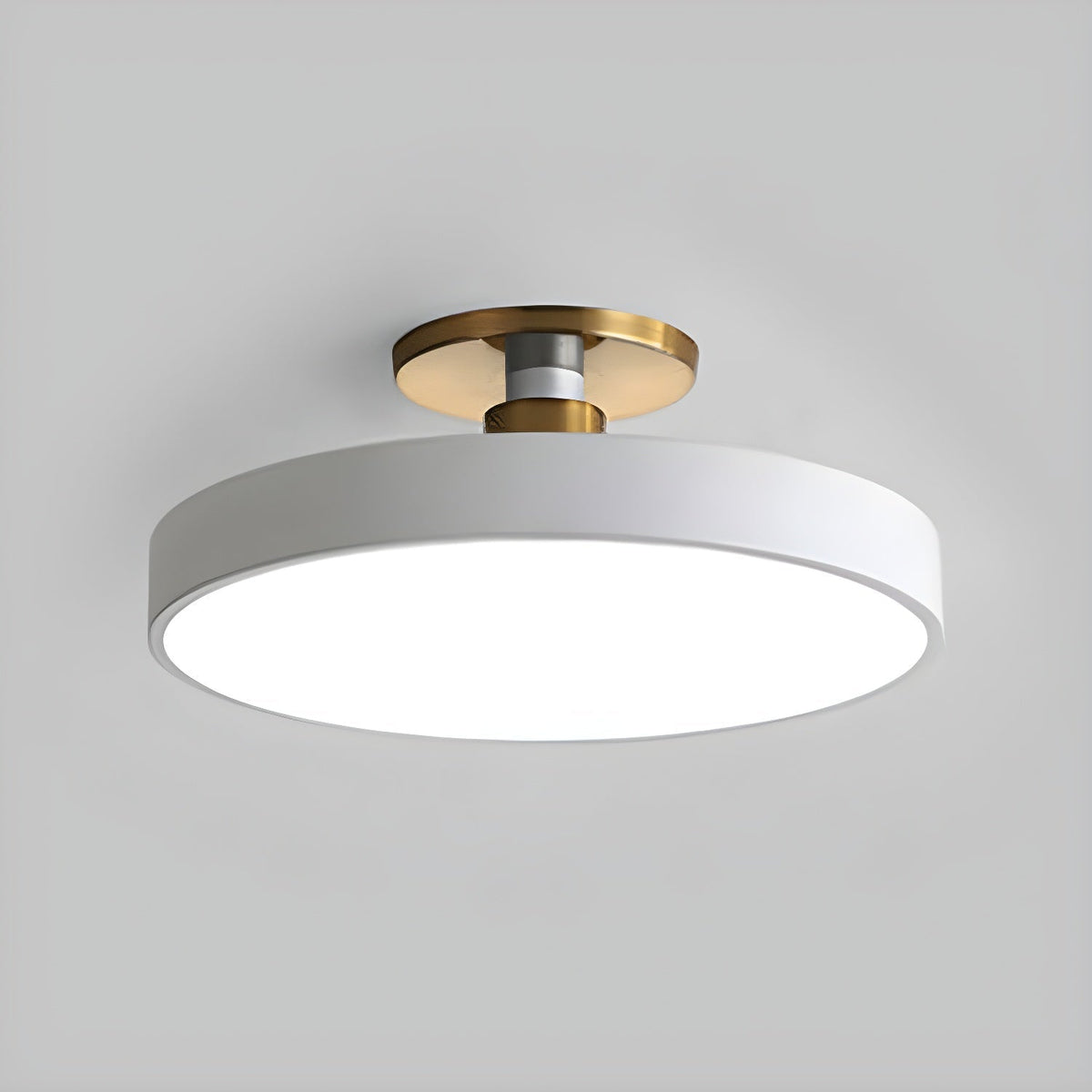 Nalia Ceiling Lamp Flush Mount Black and Gold Modern
