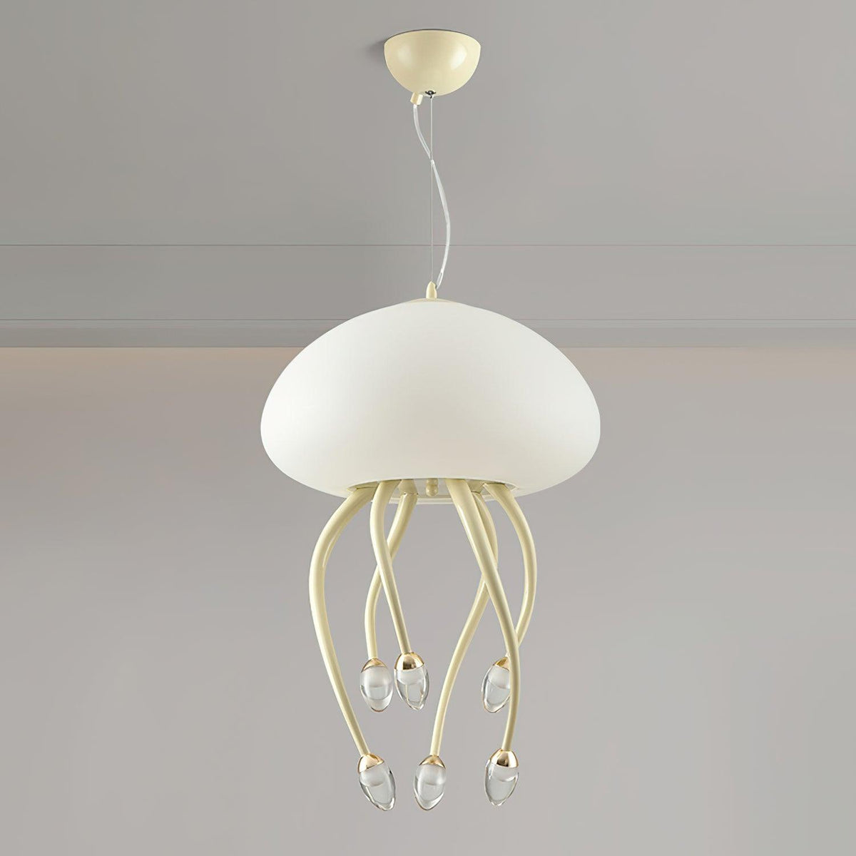 Niruiella Acrylic Cozy Pendant Lamp
