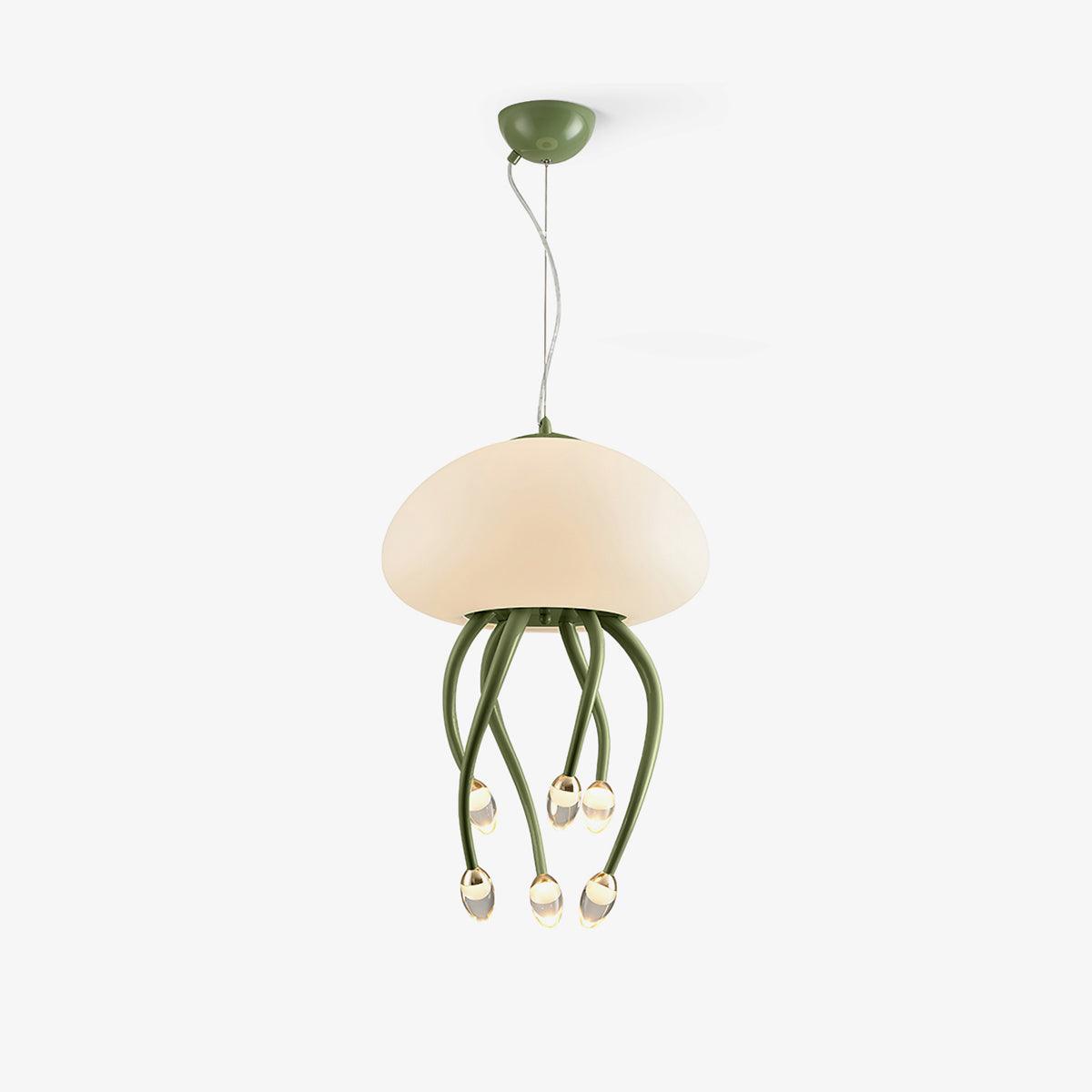 Niruiella Acrylic Cozy Pendant Lamp