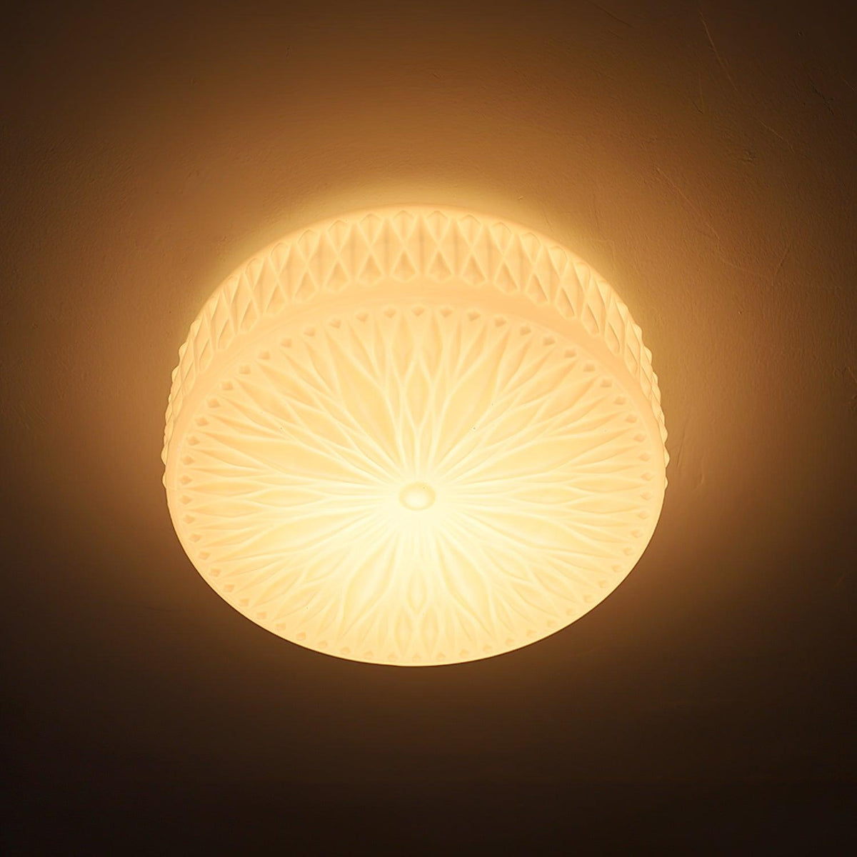 Lioriira Ceiling Lamp Glass Shade and Acrylic Modern Mooncake