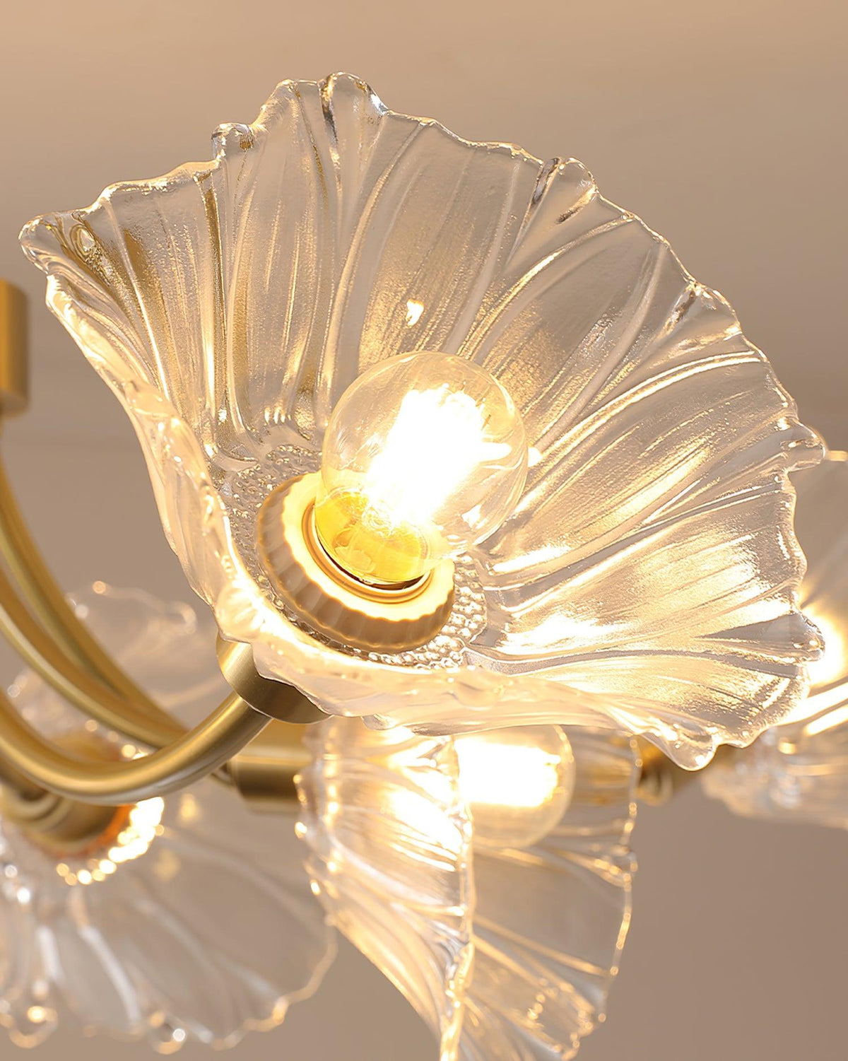 Celoreria Ceiling Lamp Flower Glass Petal Chic Elegant