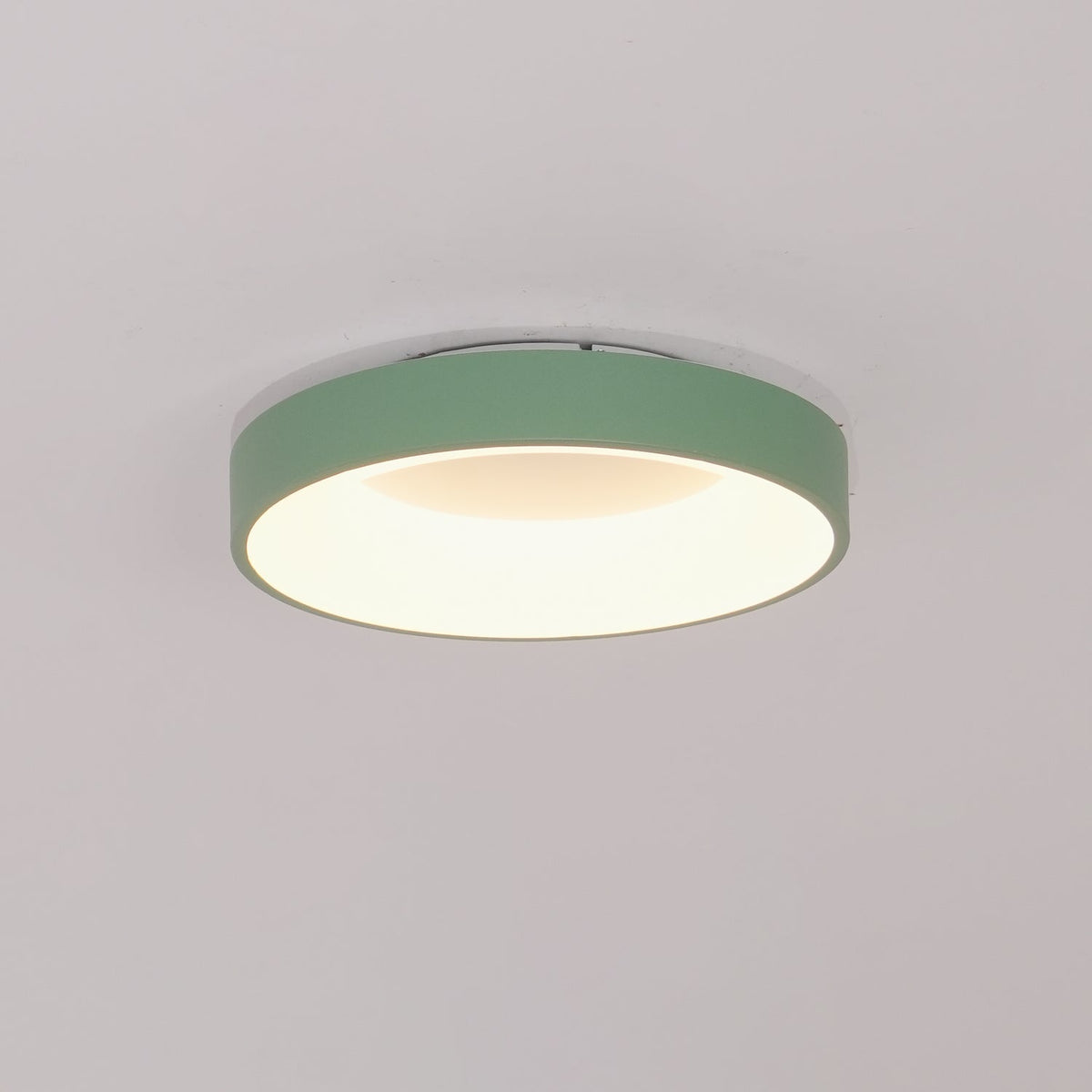 Boika Minimalist Flush Mount Ceiling Light