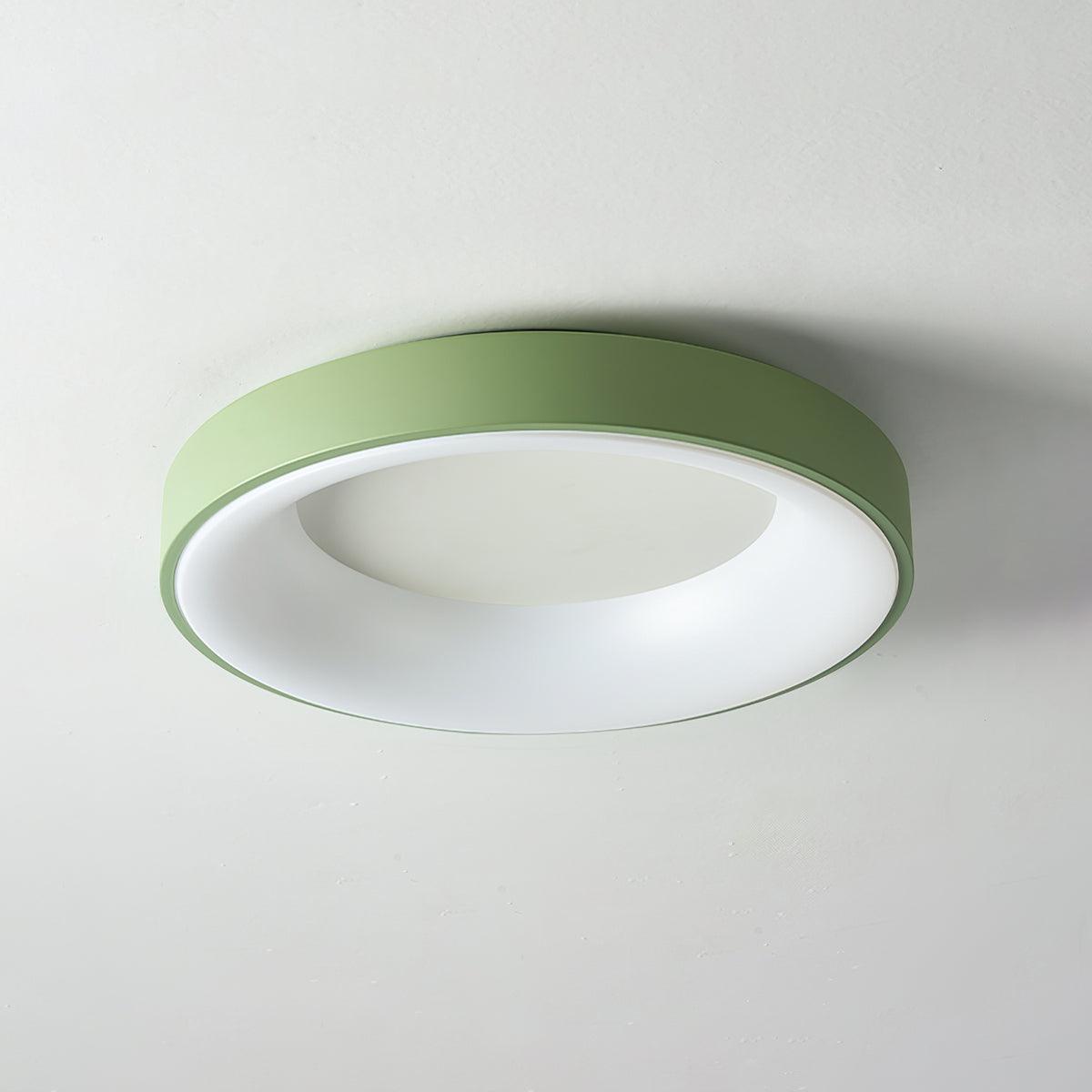 Boika Minimalist Flush Mount Ceiling Light