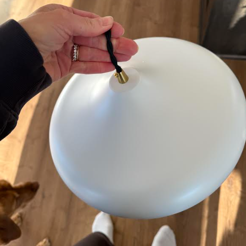 Zilia Kichler Danika Pendant Light