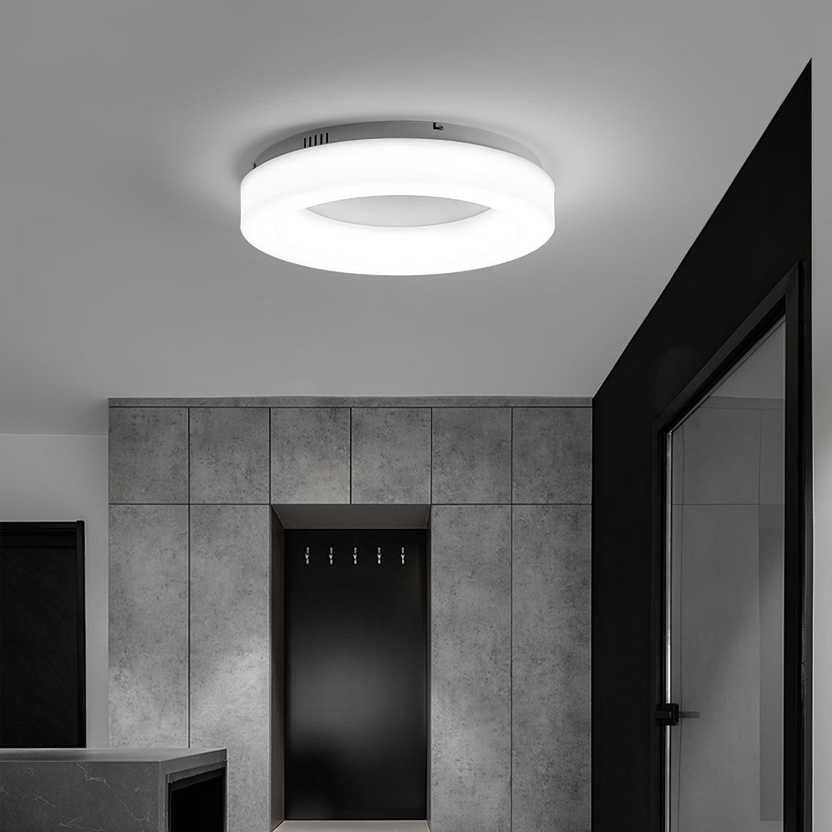 Erraeiel Modern Minimalist Art Ceiling Light