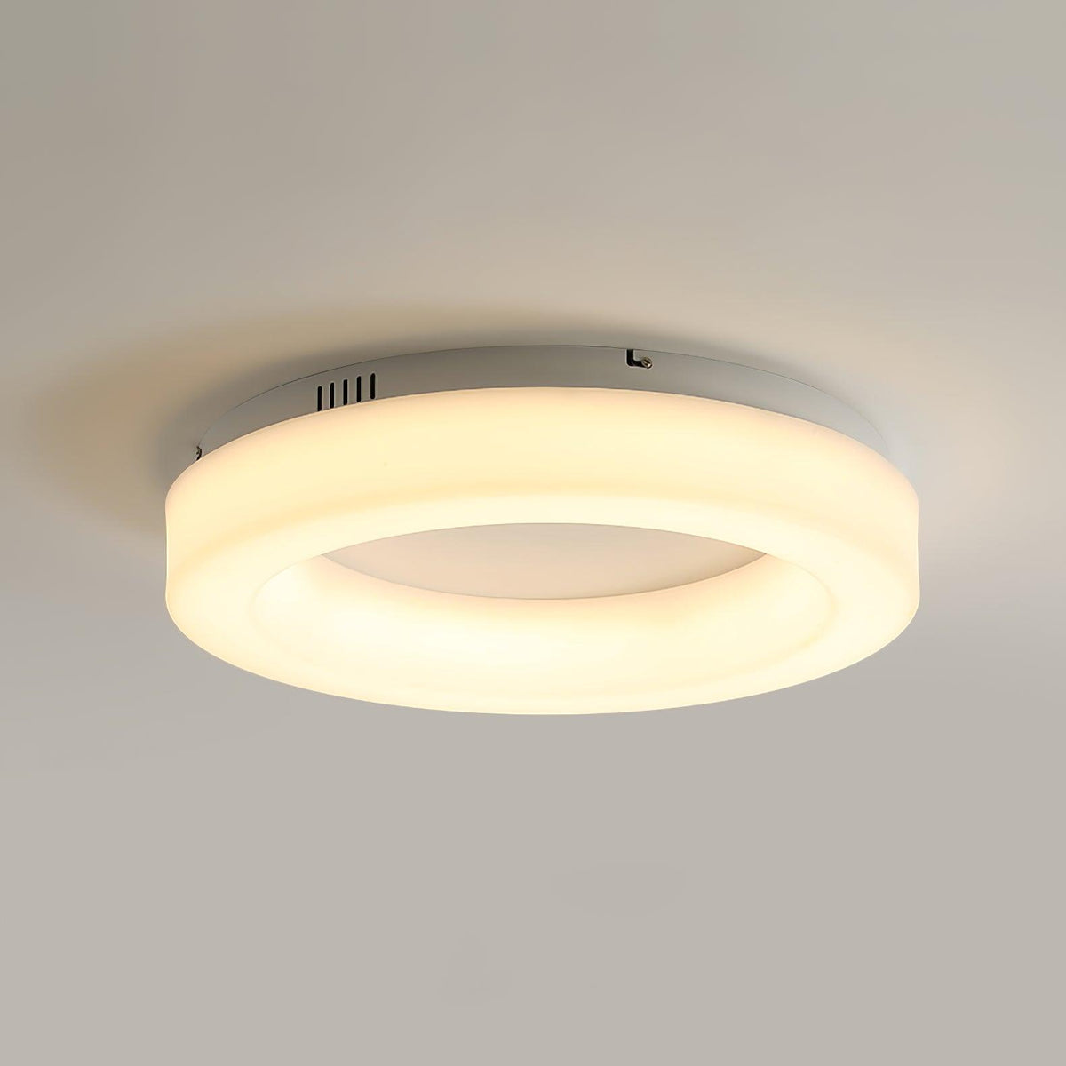 Erraeiel Modern Minimalist Art Ceiling Light