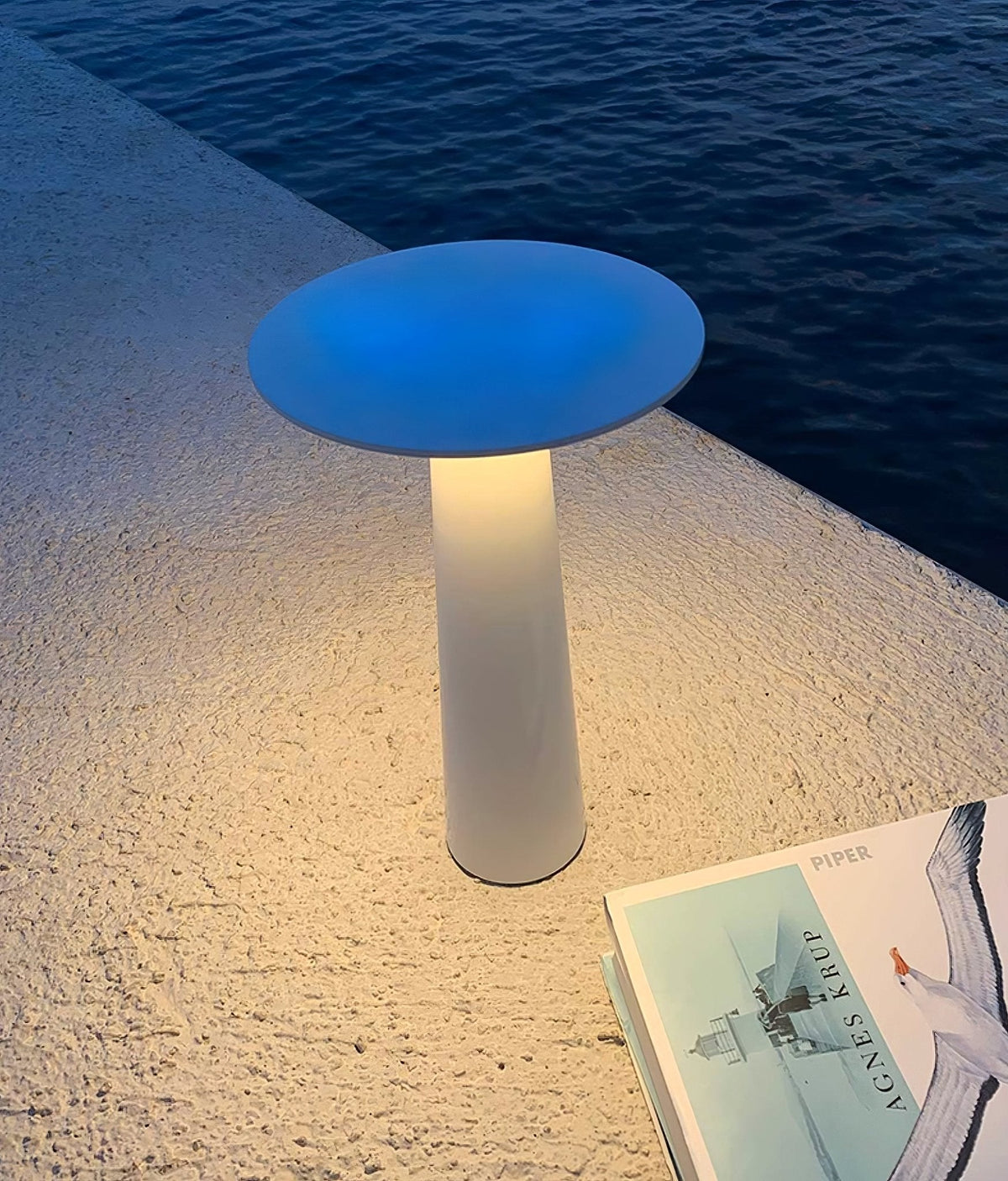 Gwil Disk Outdoor Table Light