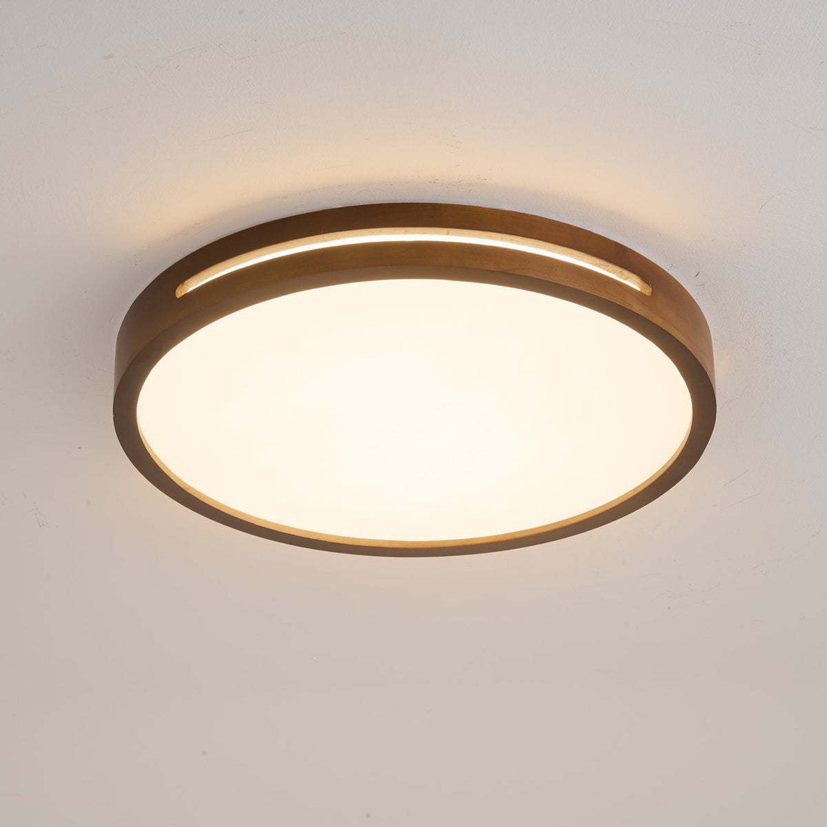 Vizoros Modern Minimalist Ceiling Light