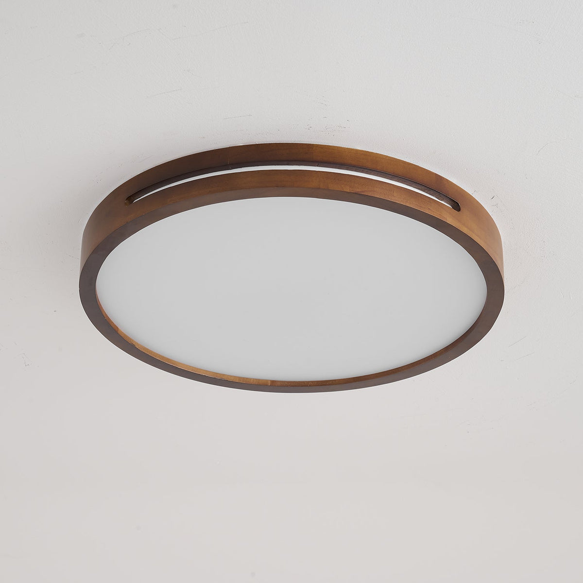 Vizoros Modern Minimalist Ceiling Light
