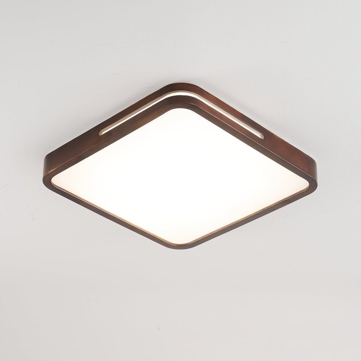 Vizoros Modern Minimalist Ceiling Light