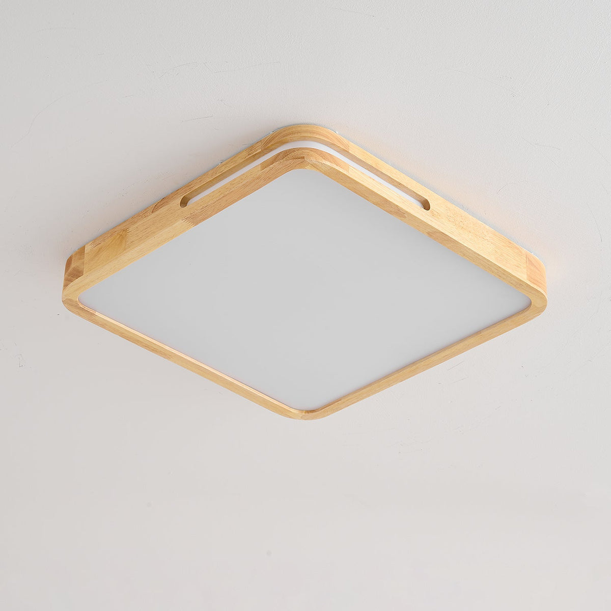 Vizoros Modern Minimalist Ceiling Light