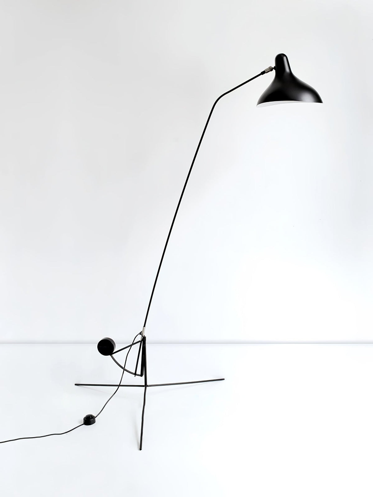 ArcMotion Mantis Arm Floor Lamp