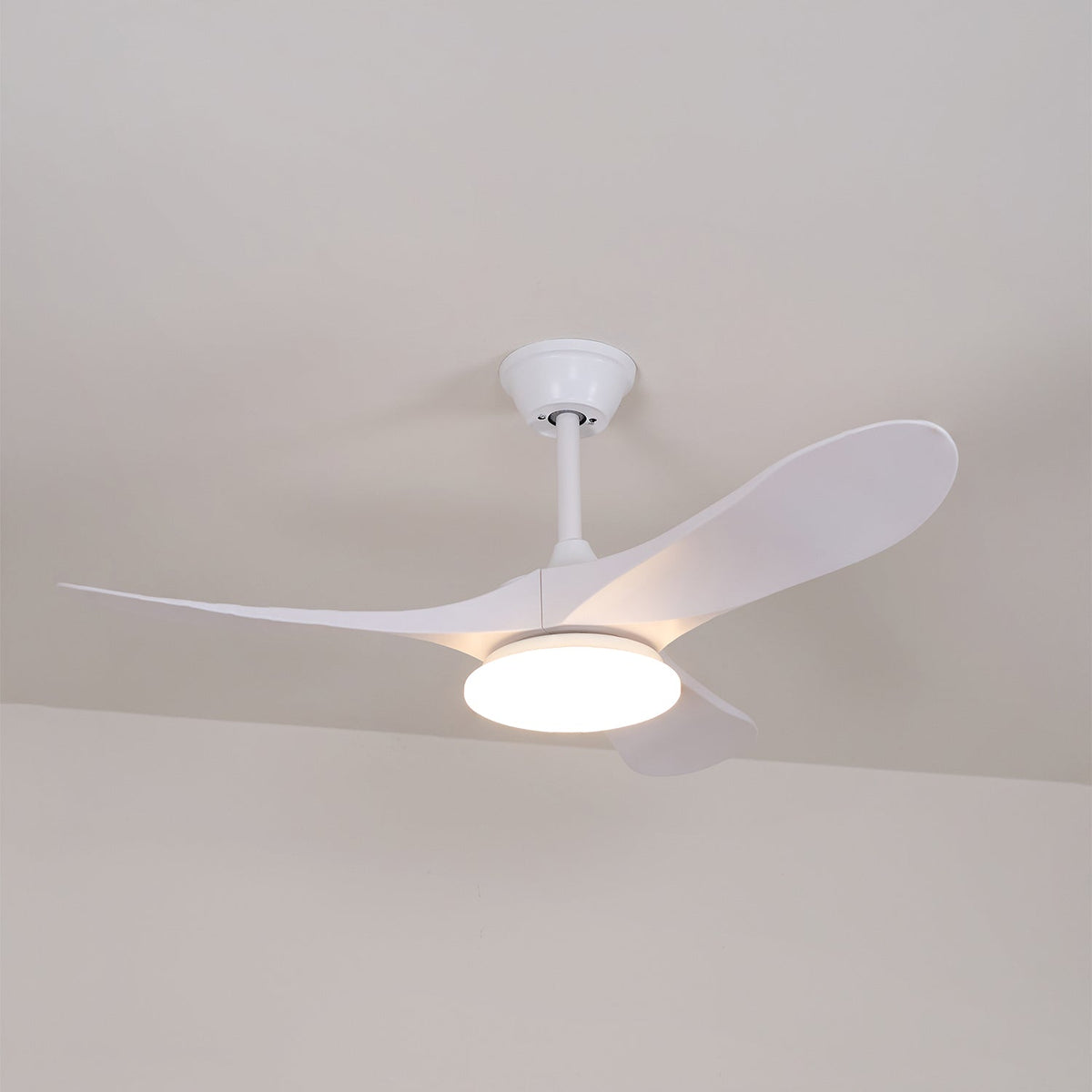 Oriken Minimalist Ceiling Fan Light
