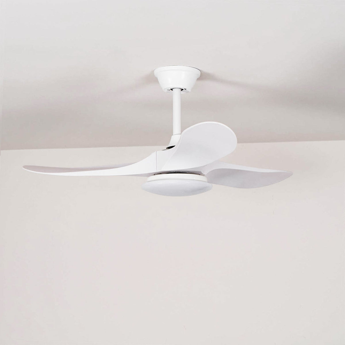 Liorueria Ceiling Fan Light