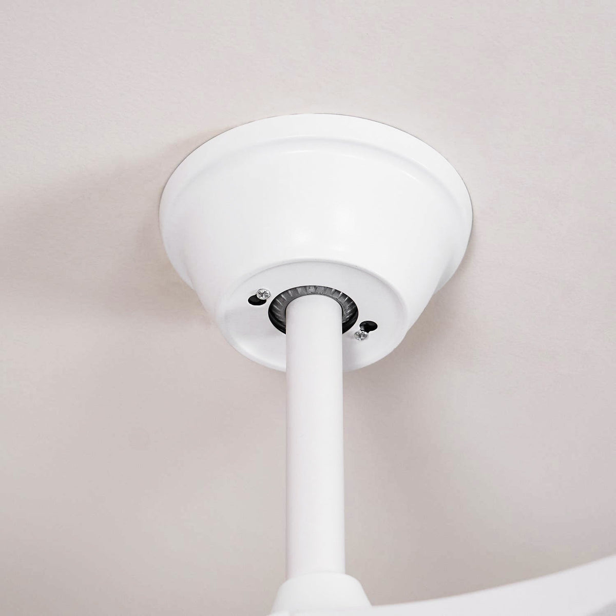 Liorueria Ceiling Fan Light