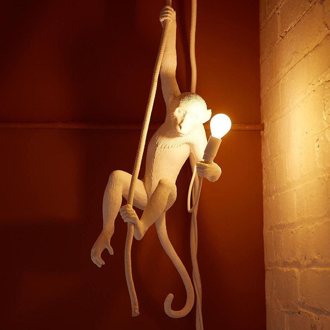 Epiran Resin Rope Artistic Pendant Lamp