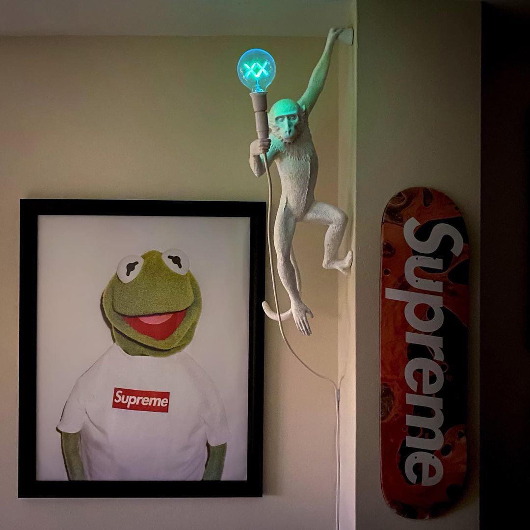 Bnx Art Unique Monkey Resin Wall Lamp