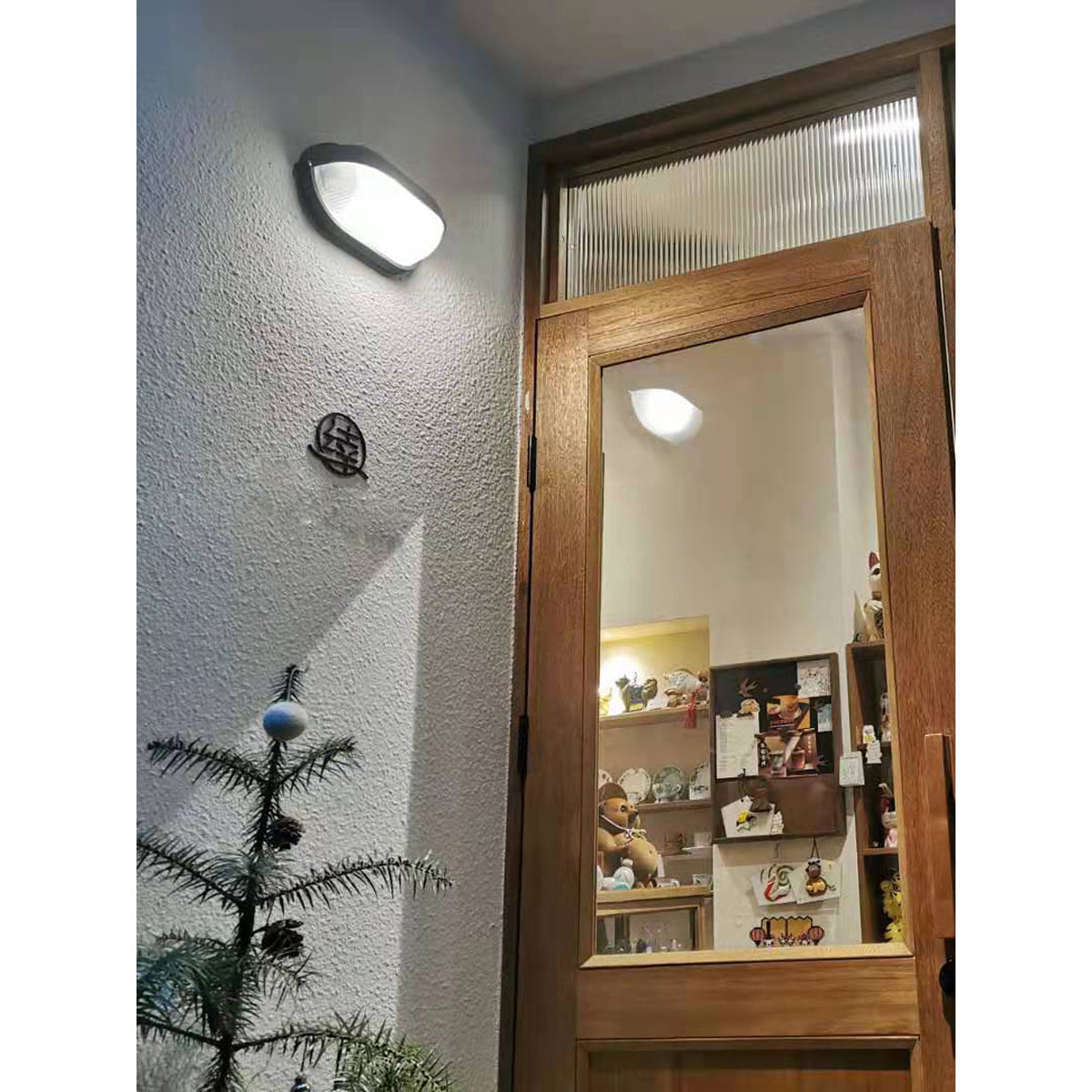 Goima Glass Outdoor Light