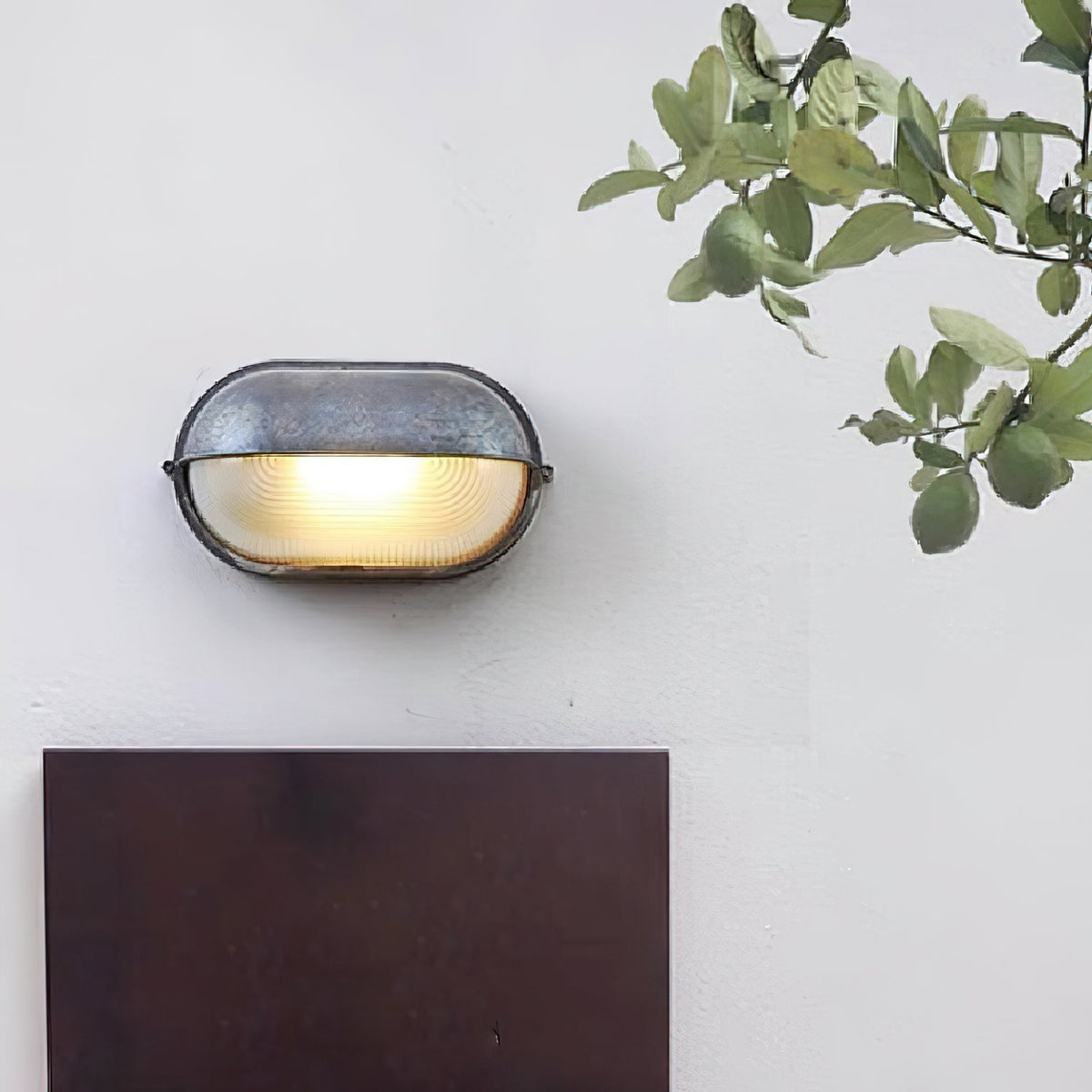 Goima Glass Outdoor Light