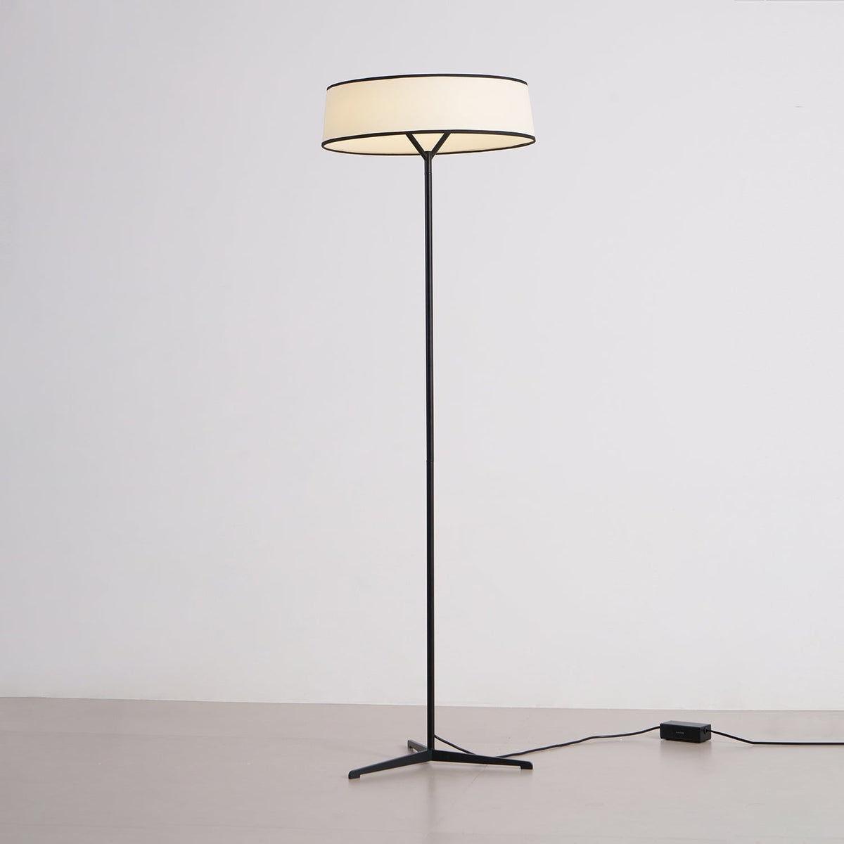 Zemaryre Modern Floor Lamp