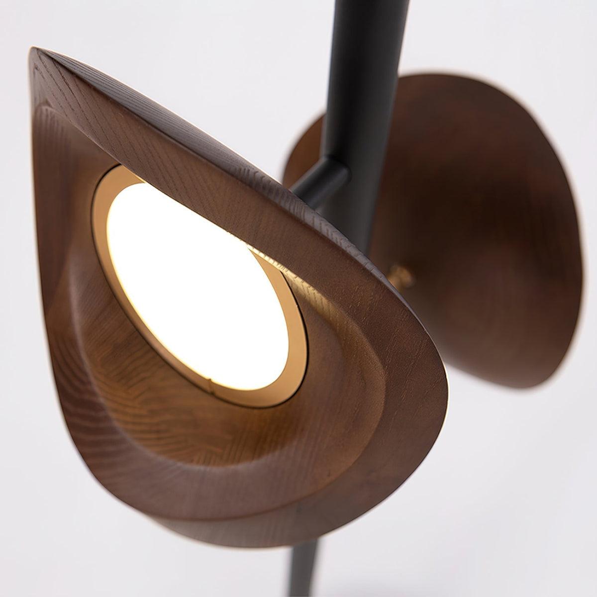 Ceyran Double Sphere Black Floor Lamp