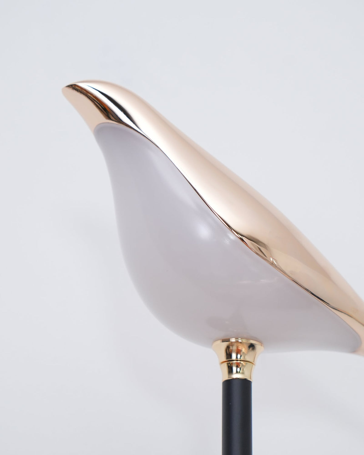 Kehya Iron Indoor Wall Light