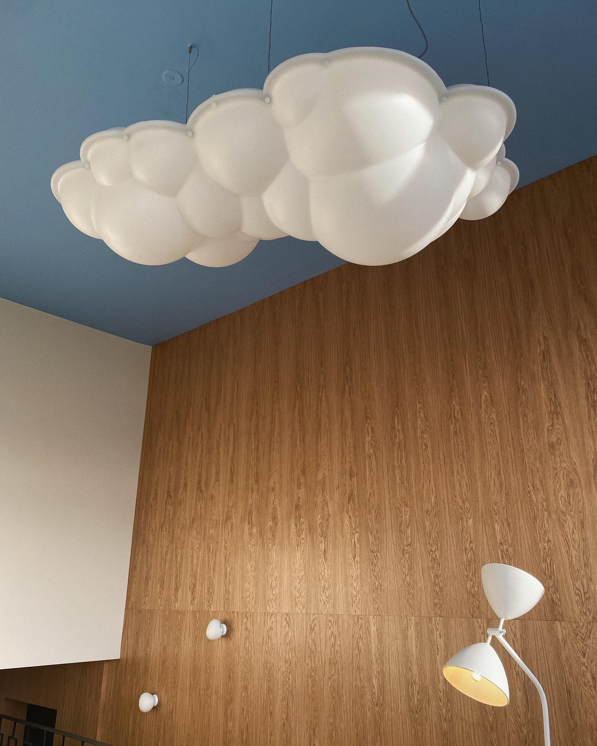 Svianol PE Artistic Pendant Lamp