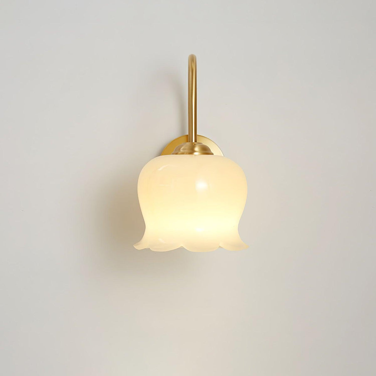 Avcarora Premium Nordic Art Brass Glass Wall Lamp