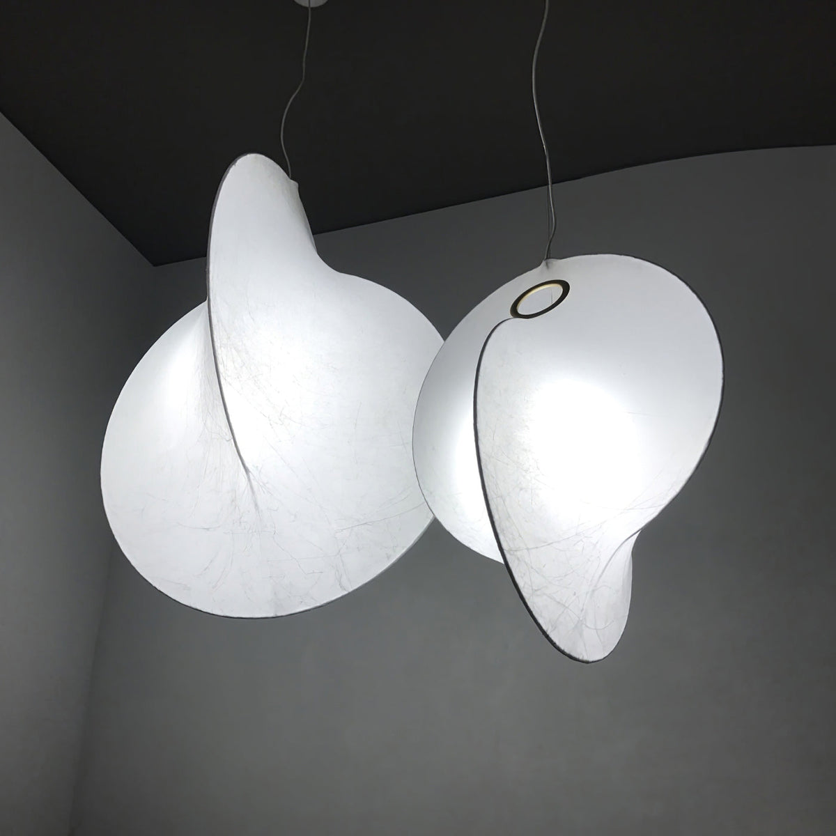 Ferivora Steel Artistic Pendant Lamp