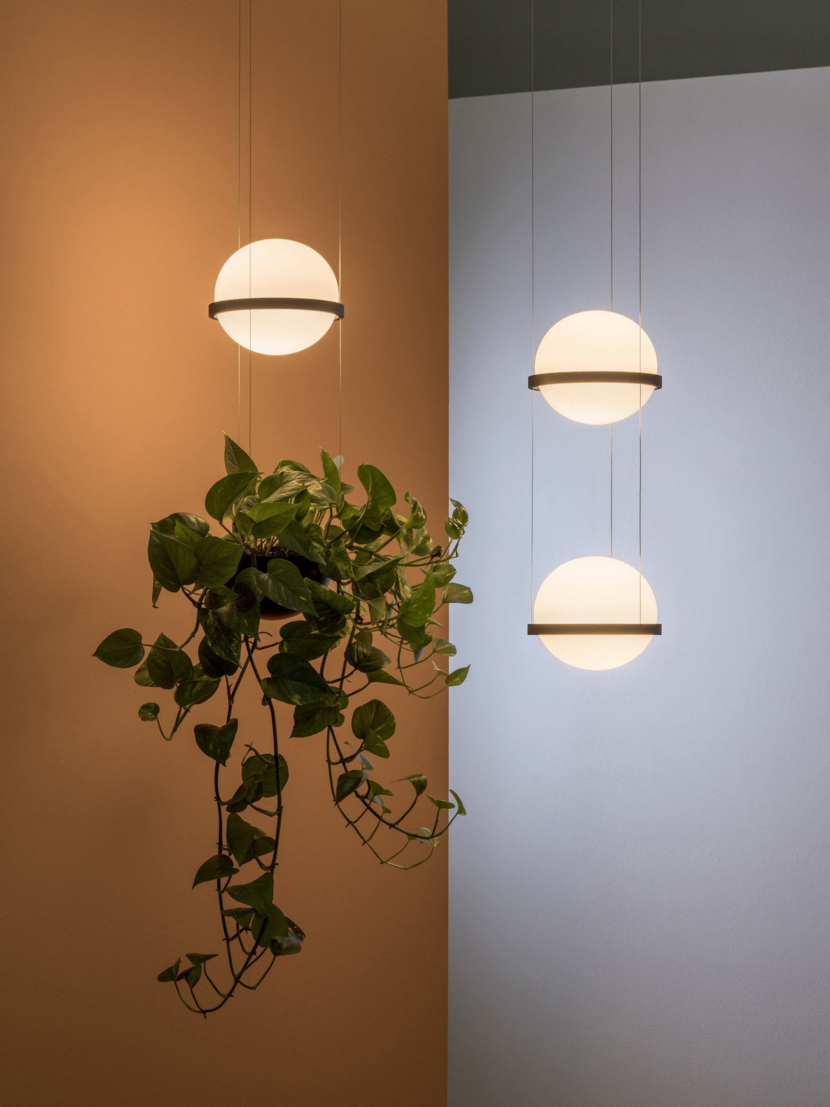 Niroise Acrylic Contemporary Pendant Lamp