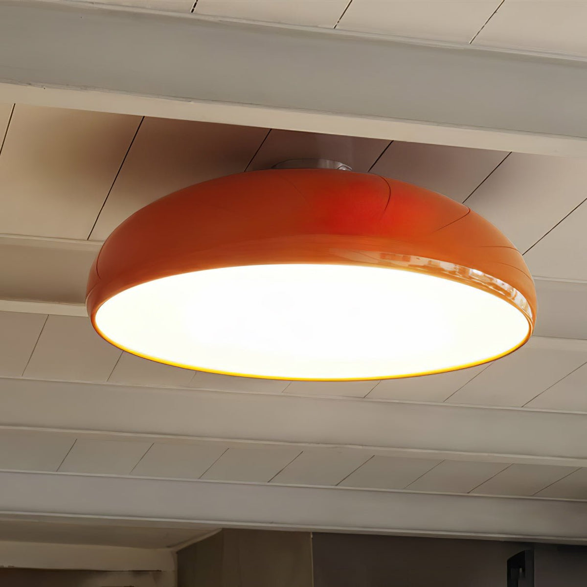 Tevenor Modern Minimalist Ceiling Lamp
