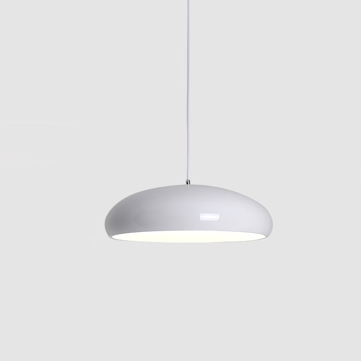 Renaraine Minimalist Pendant Lamp