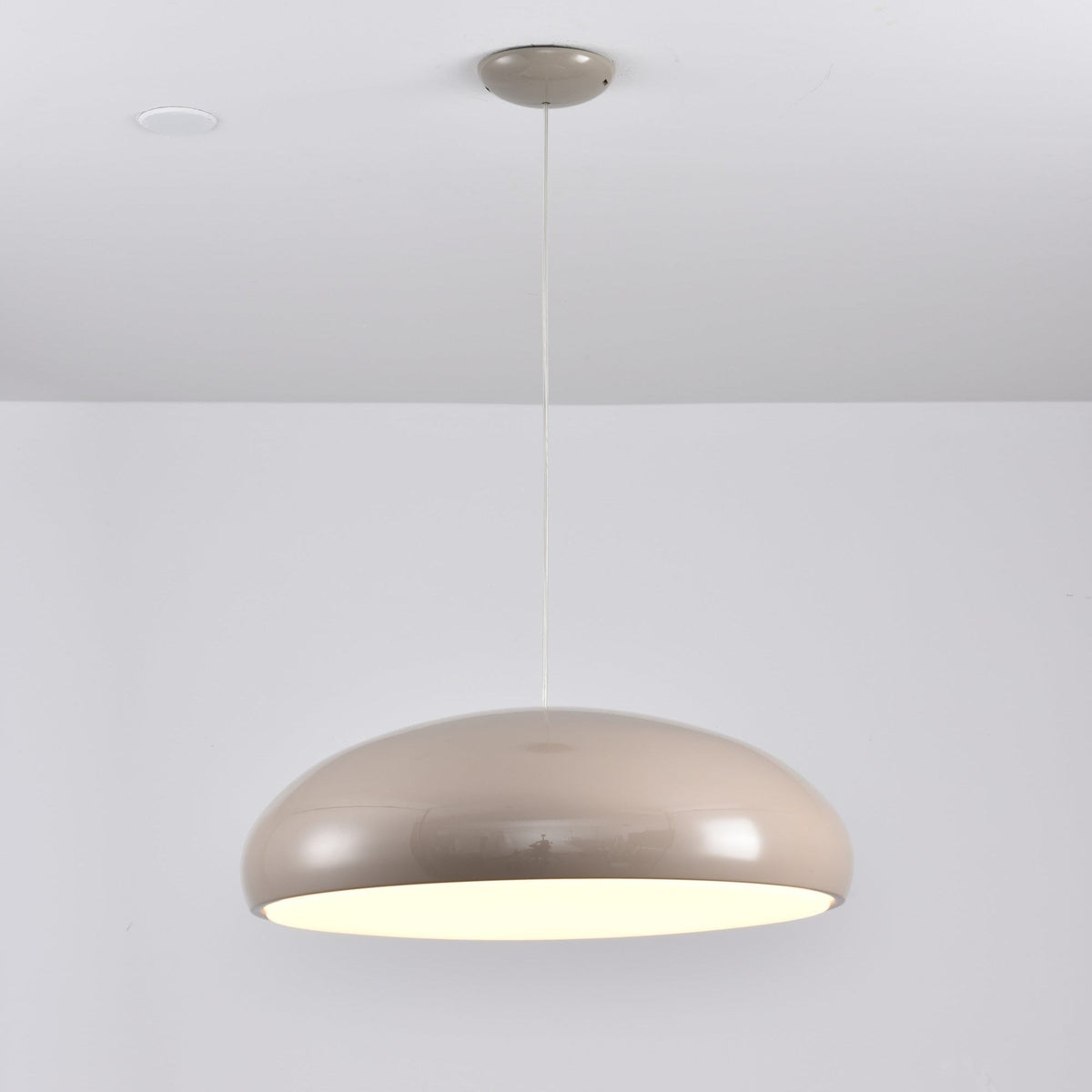 Renaraine Minimalist Pendant Lamp