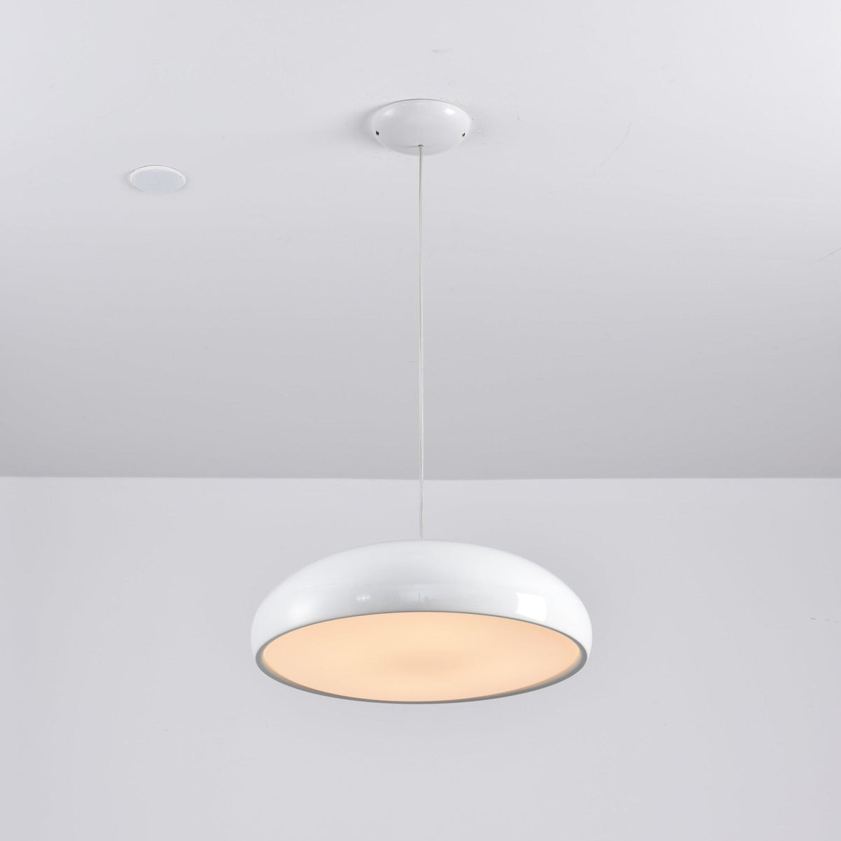 Renaraine Minimalist Pendant Lamp