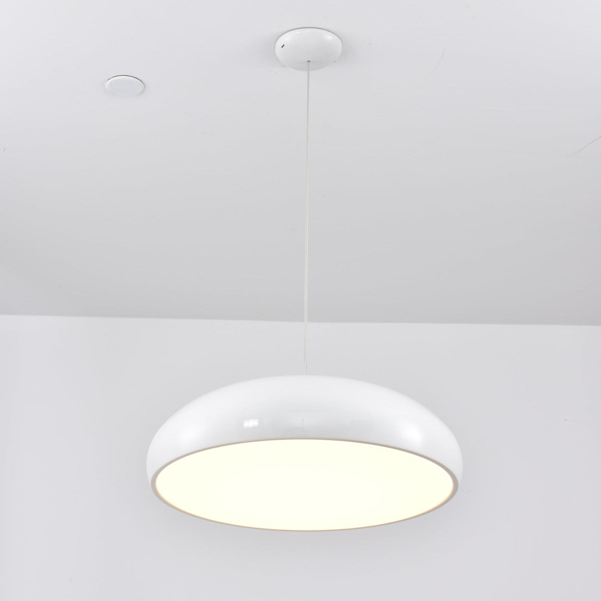 Renaraine Minimalist Pendant Lamp