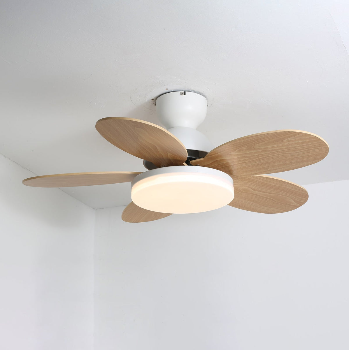 Hoda Wood Ceiling Fan Light