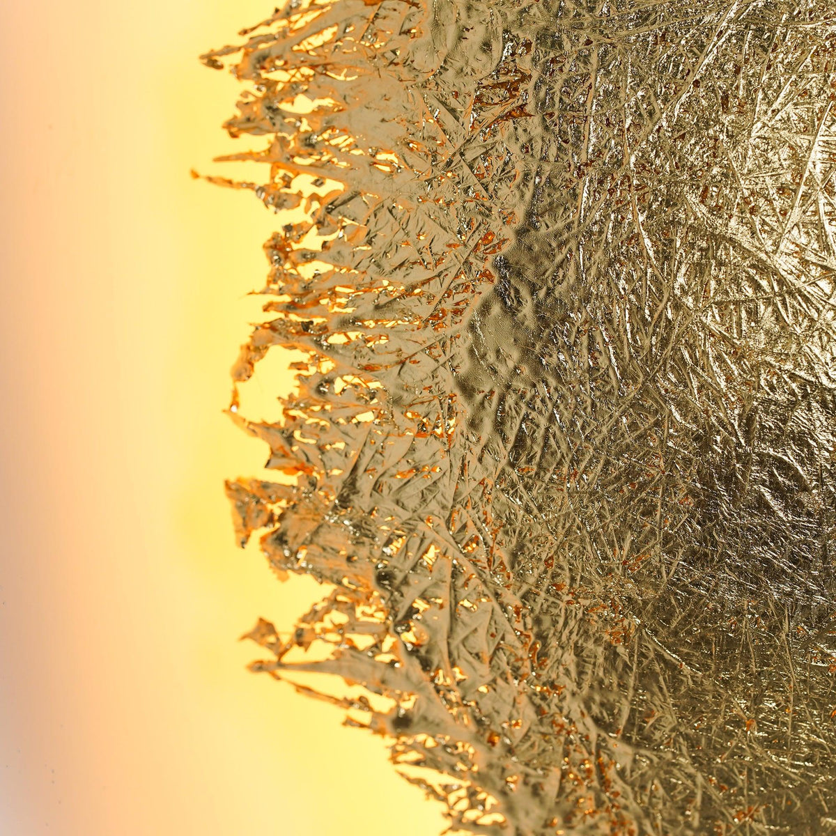 Ciroiella Contemporary Wall Lamp