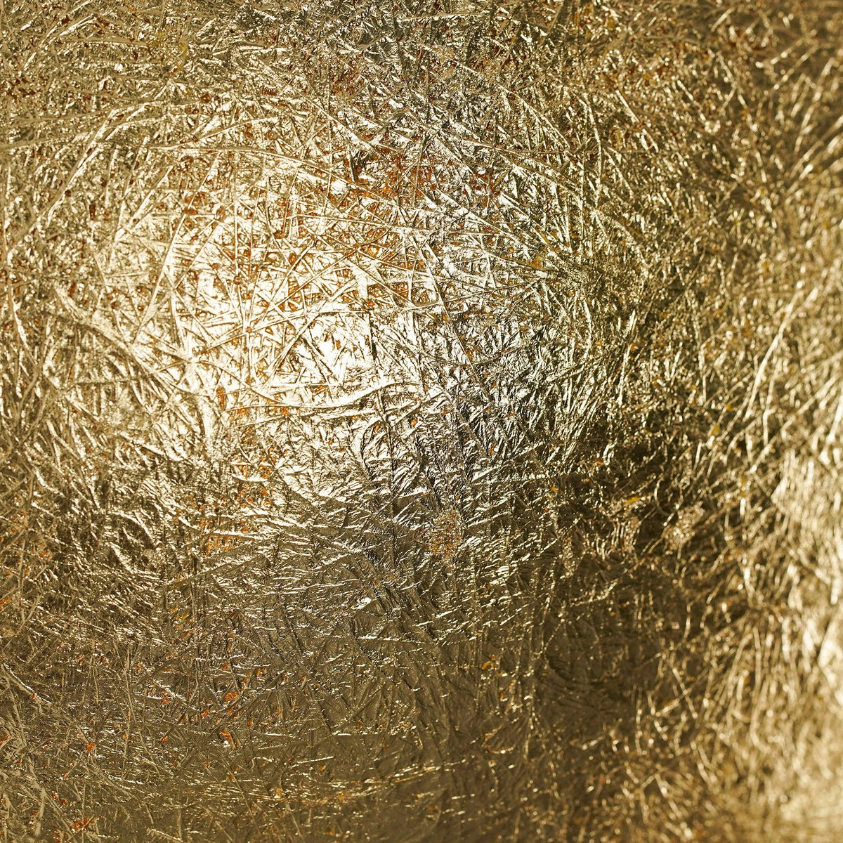 Ciroiella Contemporary Wall Lamp