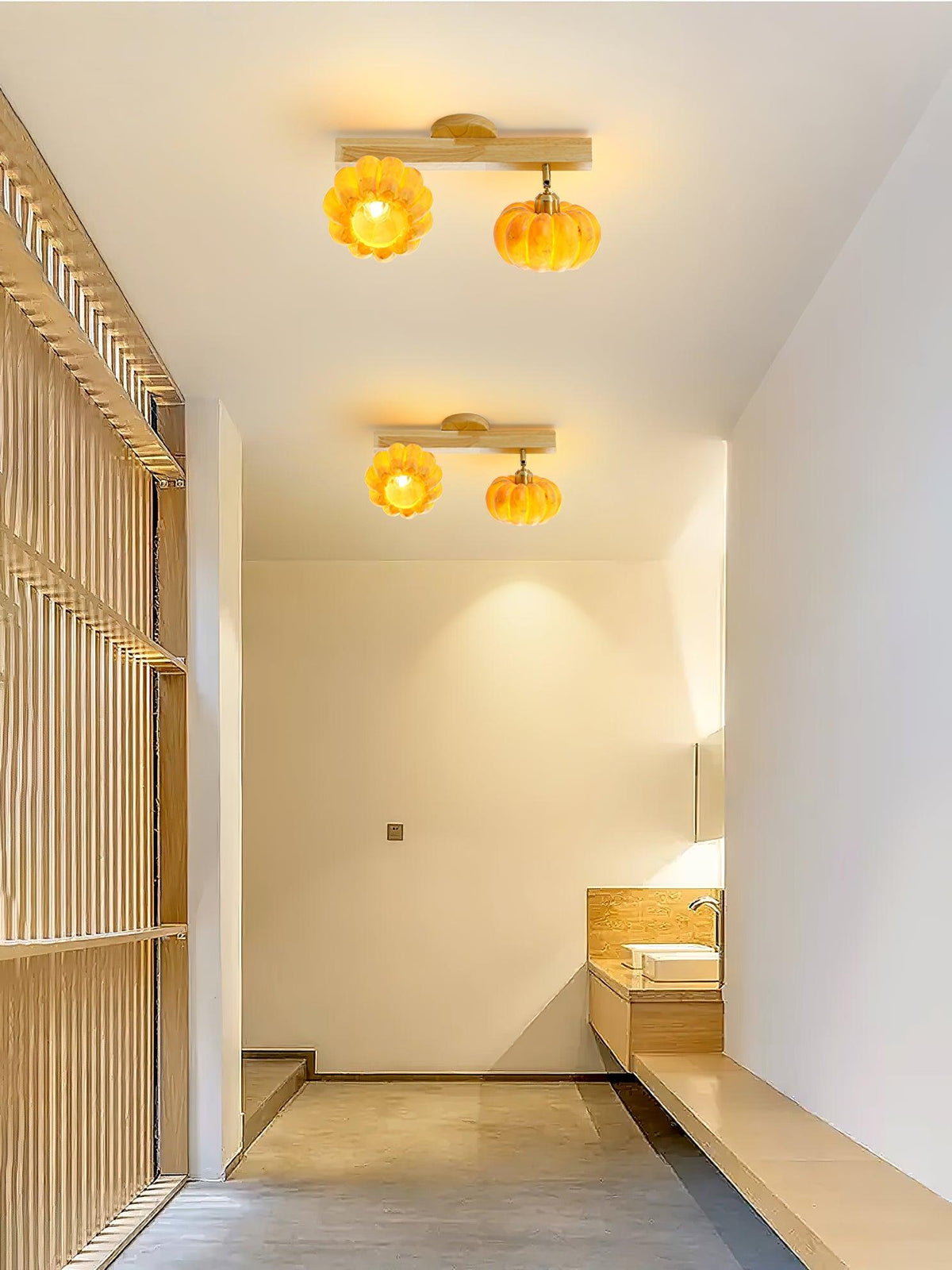 Dylan Modern Ceiling Lamp