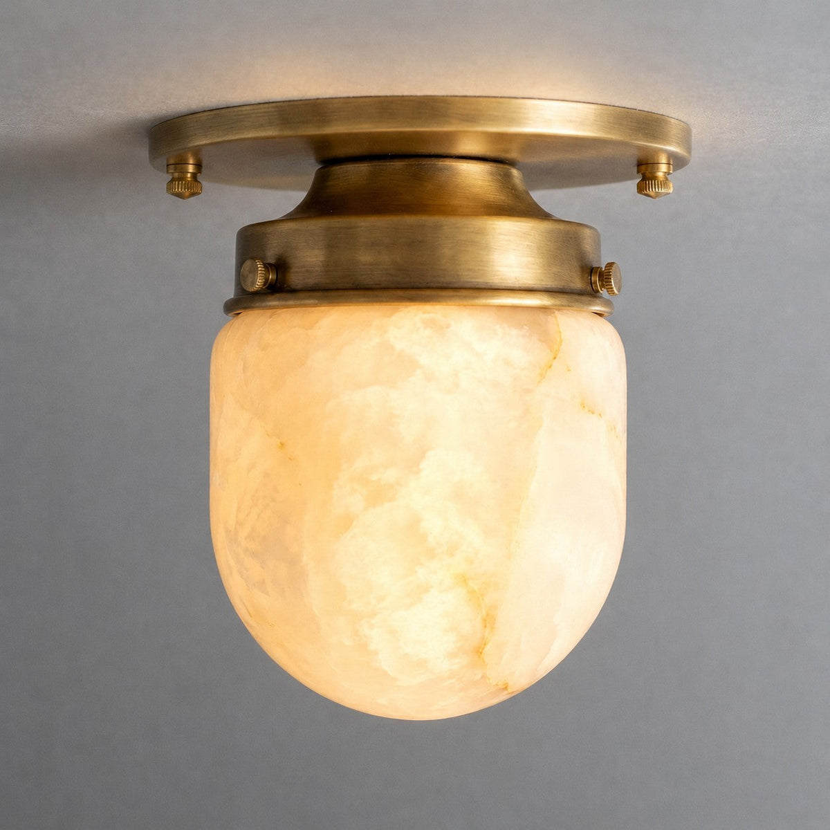 Dinoa Shaped Alabaster Flush Mount Ceiling Light