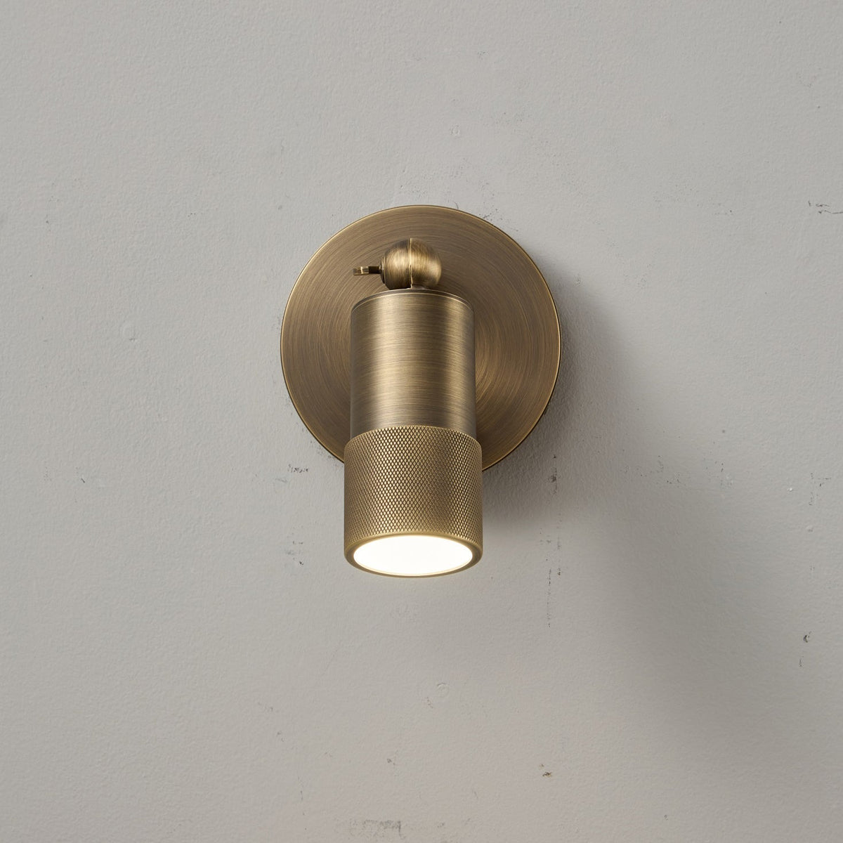 Zehan Brass Spotlight Indoor Wall Light