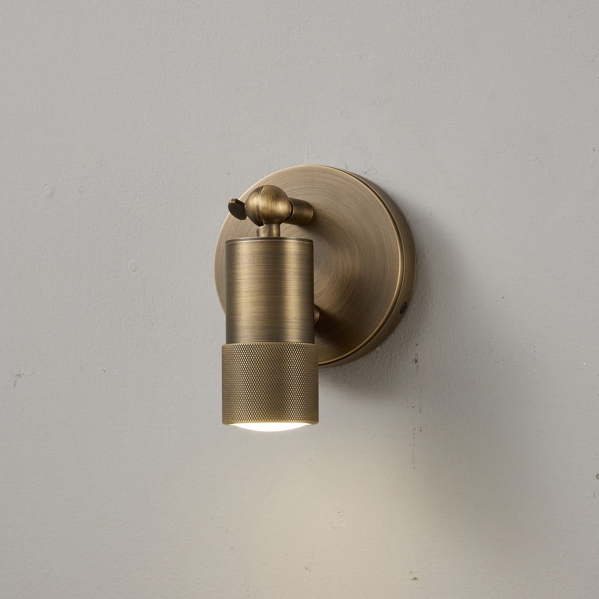 Zehan Brass Spotlight Indoor Wall Light