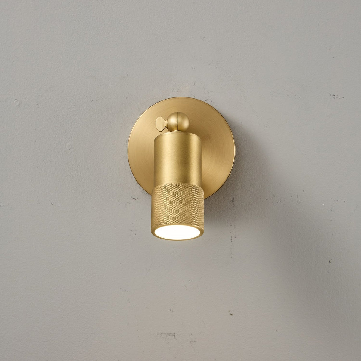 Zehan Brass Spotlight Indoor Wall Light