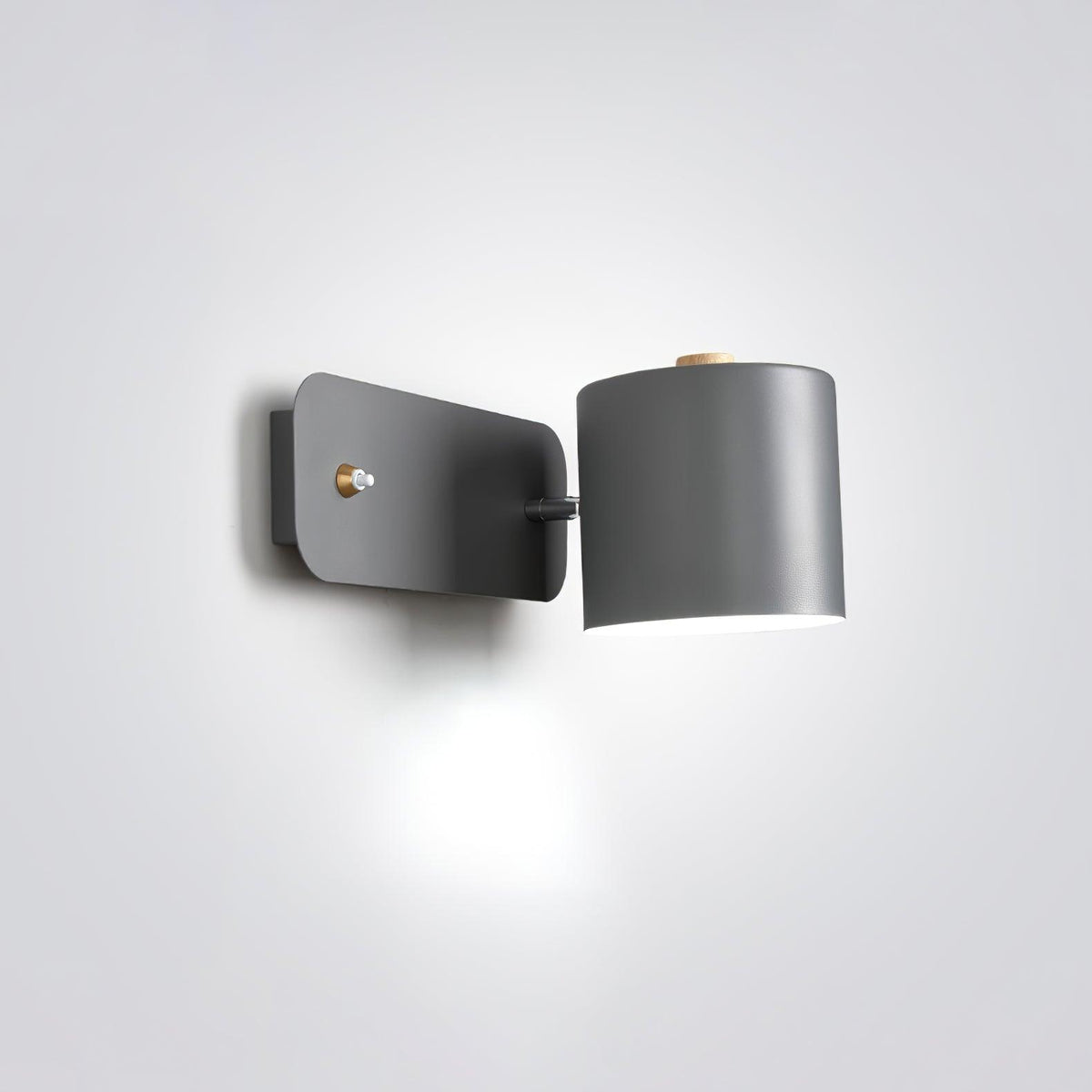 Ebika Rotatable Cylinder Indoor Wall Light