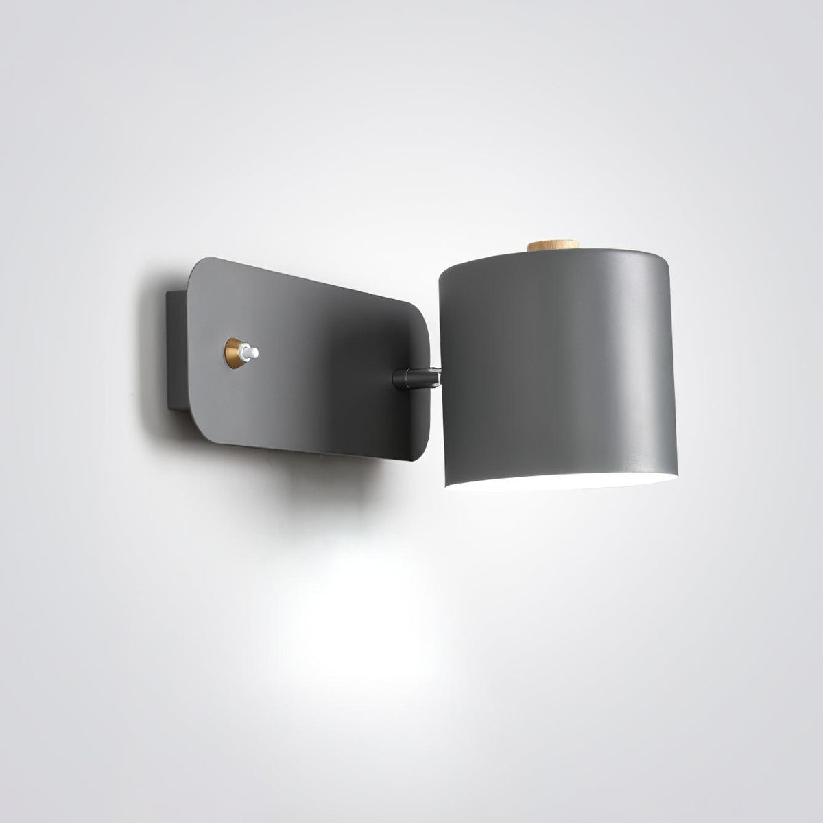 Ebika Rotatable Cylinder Indoor Wall Light