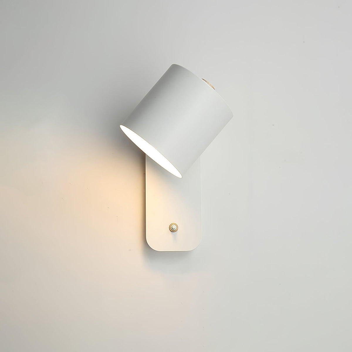 Ebika Rotatable Cylinder Indoor Wall Light